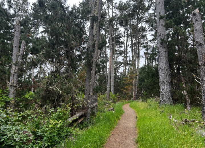Herp Habitat